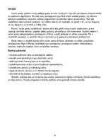 Business Plans 'Saules paneļu tīrīšanas, pārbaudes un ražības uzraudzības pakalpojuma biznesa pl', 4.