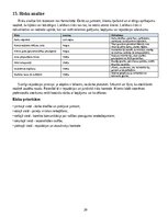 Business Plans 'Saules paneļu tīrīšanas, pārbaudes un ražības uzraudzības pakalpojuma biznesa pl', 20.