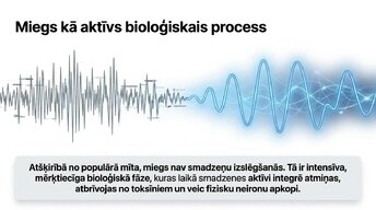 Presentations 'Miega nozīme smadzeņu atjaunošanā un izdegšanas profilaksē', 4.