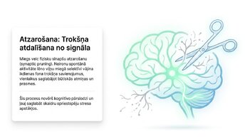 Presentations 'Miega nozīme smadzeņu atjaunošanā un izdegšanas profilaksē', 6.