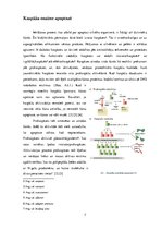 Research Papers 'Apoptozes bioķīmiskie aspekti', 7.