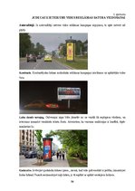 Term Papers 'Digitālo ekrānu attīstības iespējas vides reklāmā Latvijā', 86.