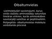Presentations 'Olbaltumvielas', 3.