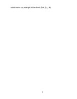 Research Papers 'Lasītprasmes un tekstpratības attīstīšana sākumskolas klasēs latviešu valodas ap', 5.