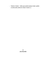 Research Papers 'Tukuma pilsētas teritoriālais plānojums', 24.