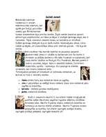 Research Papers 'Zīmējumi ar hennu', 2.