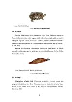Research Papers 'Svešās sugas Latvijā un to ietekme uz ekosistēmu', 8.