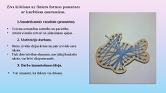 Presentations 'Šūšanas mape', 13.