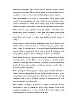 Essays 'Filmas "Straume" analīze', 3.