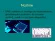Presentations 'Genomiskās DNS izdalīšana no mikobaktērijām', 3.