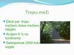 Presentations 'Tropu meži', 2.