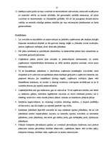 Research Papers 'Plānošanas un kontroles loma uzņēmējdarbībā', 25.