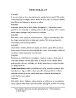 Practice Reports 'Pirmsskolas izglītības prakses materiāli', 11.