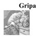 Presentations 'Gripa', 1.