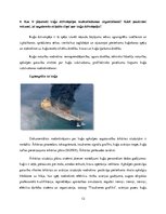Research Papers 'Kuģa vadīšana un manevrēšana ārkārtējos apstākļos', 13.