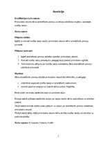 Term Papers 'Pirmsskolas vecuma bērnu orientēšanās prasmju un iemaņu attīstīšanas iespējas ku', 2.