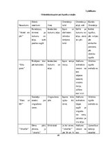 Term Papers 'Pirmsskolas vecuma bērnu orientēšanās prasmju un iemaņu attīstīšanas iespējas ku', 40.