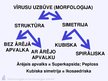 Presentations 'Virusuloģija', 36.