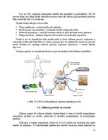 Research Papers 'Polimēri', 17.