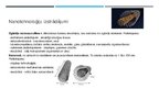 Presentations 'Nanotehnoloģijas prezentācija', 8.