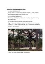 Summaries, Notes 'Dabisko mežu biotops un ekosistēmas ilglaicība', 2.