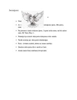 Research Papers 'Vārda "putns" analīze', 15.
