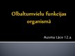 Presentations 'Olbaltumvielu funkcijas organismā', 1.
