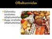 Presentations 'Olbaltumvielu funkcijas organismā', 4.