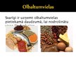 Presentations 'Olbaltumvielu funkcijas organismā', 14.