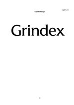 Term Papers 'AS "Grindeks" finanšu informācijas analīze', 31.