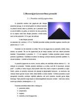 Research Papers 'Bioenerģijas izmantošana un koncentrēšana piramīdā', 8.
