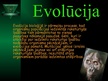 Presentations 'Evolūcija', 2.