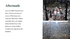 Presentations 'Bushfires in Australia', 13.