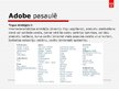 Presentations 'Adobe Systems Incorparated', 5.