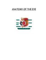 Research Papers 'Anatomy of the Eye', 1.