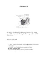 Research Papers 'Anatomy of the Eye', 3.