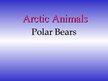 Presentations 'Arctic Animals - Polar Bears', 1.