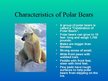 Presentations 'Arctic Animals - Polar Bears', 2.