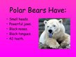 Presentations 'Arctic Animals - Polar Bears', 3.
