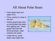 Presentations 'Arctic Animals - Polar Bears', 4.