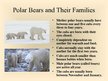 Presentations 'Arctic Animals - Polar Bears', 6.