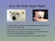 Presentations 'Arctic Animals - Polar Bears', 7.