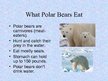 Presentations 'Arctic Animals - Polar Bears', 8.