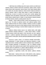 Term Papers 'SIA "A" saimnieciskās darbības analīze un attīstības iespējas', 18.