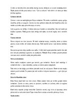 Summaries, Notes 'Rainis “Gals un sākums”', 3.