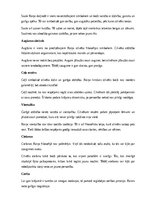 Summaries, Notes 'Rainis “Gals un sākums”', 4.