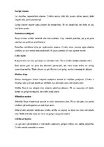 Summaries, Notes 'Rainis “Gals un sākums”', 7.
