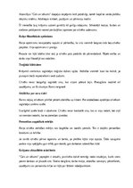 Summaries, Notes 'Rainis “Gals un sākums”', 9.