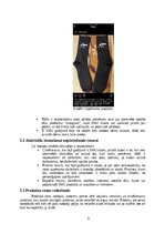 Term Papers 'Skolēnu mācību uzņēmums “UTOPIA”', 9.