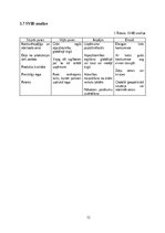 Term Papers 'Skolēnu mācību uzņēmums “UTOPIA”', 12.